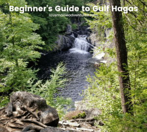 Read more about the article Beginner’s Guide to Gulf Hagas