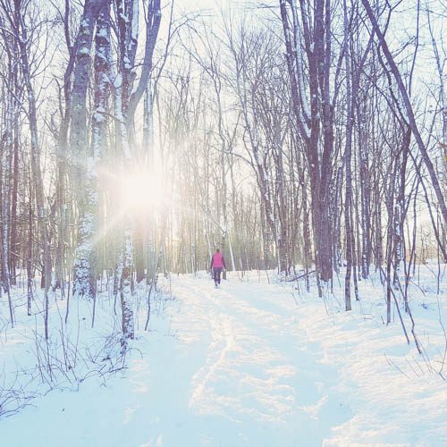 Read more about the article Snowshoeing in Dorthea Dix Park