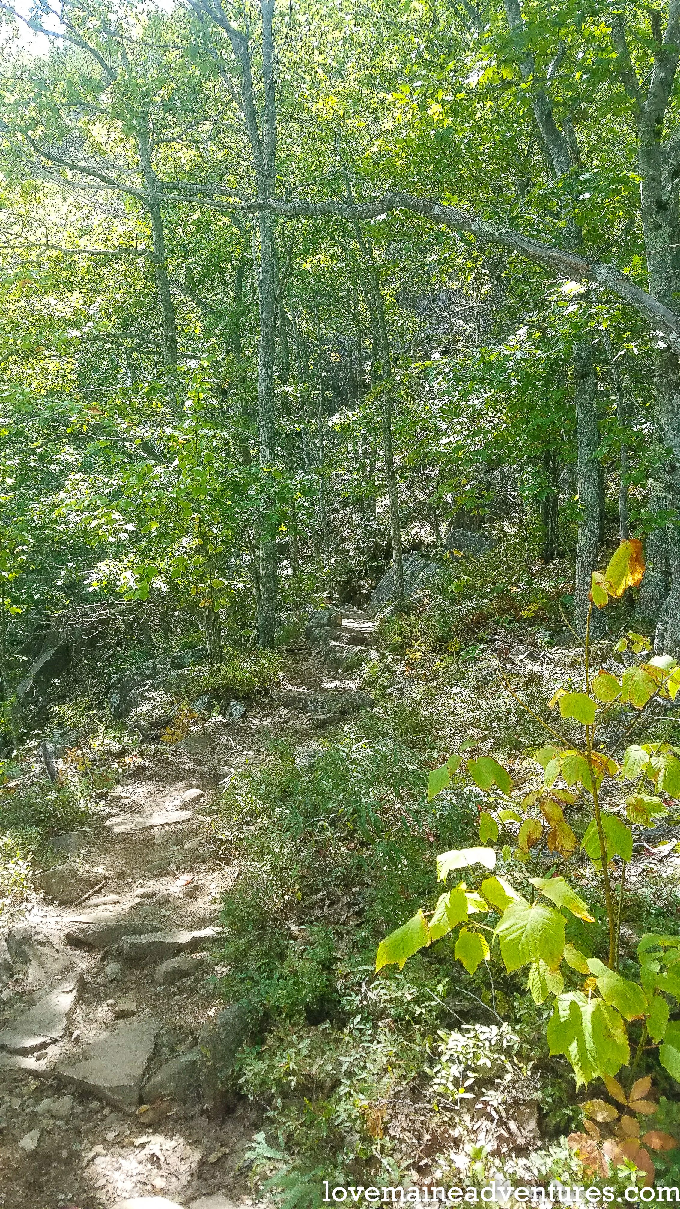 A hike up Precipice Trail on Champlain Mountain in Acadia National Park, Maine