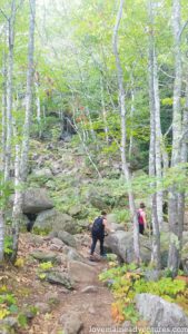 Precipice trail approach, Acadia National Park