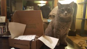 cat box, cairn box, cat in a box, get cairn, gifts for adventurers