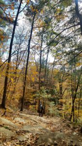 Fall in Maine, fall hikes, hikes for beginners, hikes near me, maine adventures, fall hikes, short hikes, hikes for kids, hikes with dogs in Maine