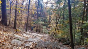 Fall in Maine, fall hikes, hikes for beginners, hikes near me, maine adventures, fall hikes, short hikes, hikes for kids, hikes with dogs in Maine