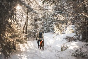 Read more about the article Winter Adventures in New England