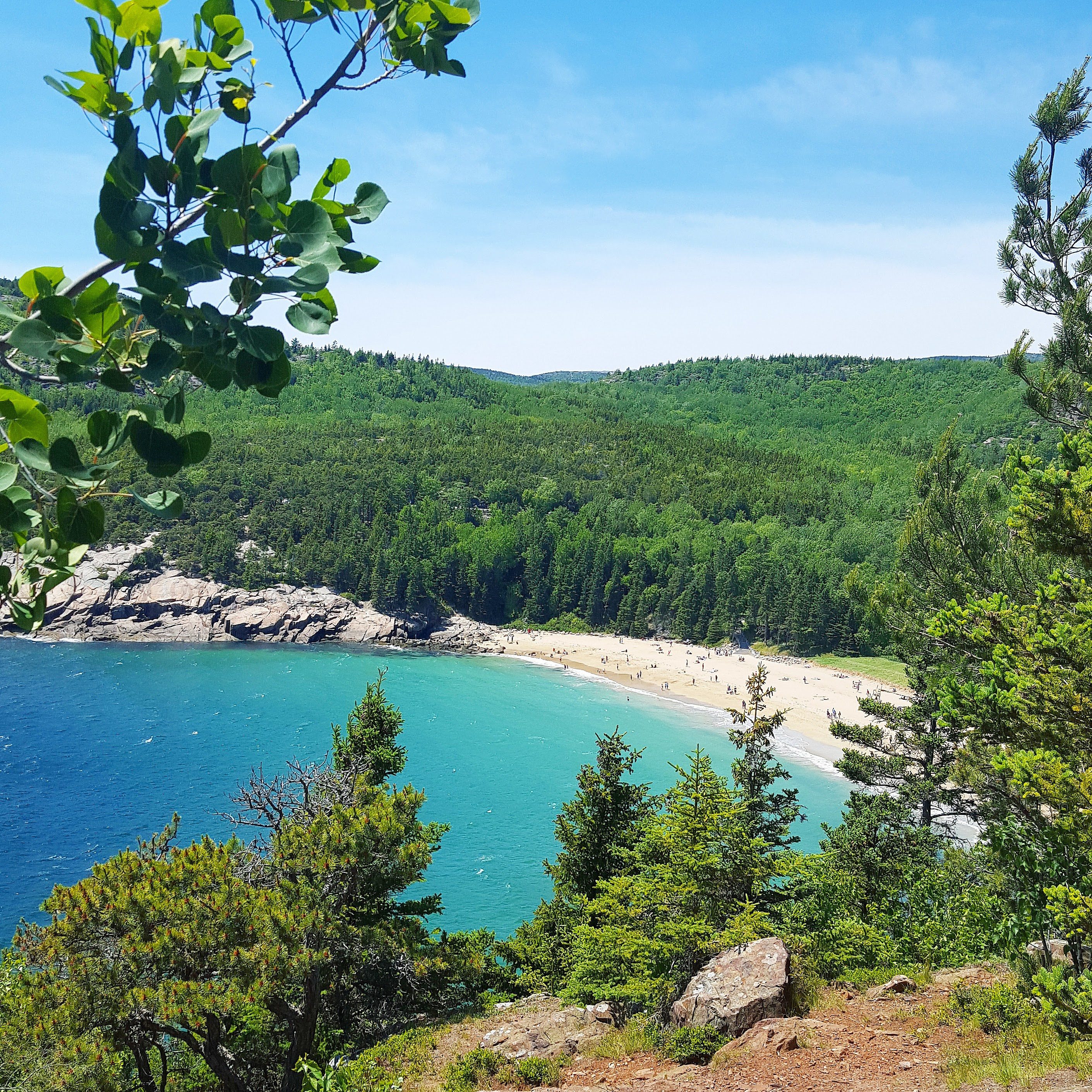 You are currently viewing Beginner’s Guide to Sand Beach in Acadia National Park