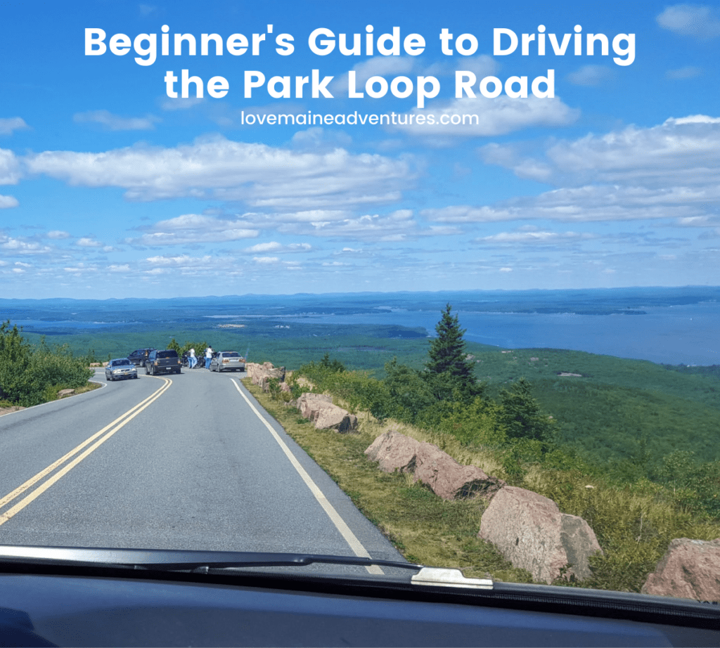 Beginners Guide to driving up the park loop road