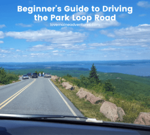 Read more about the article Beginnner’s Guide to the Park Loop Road in Acadia National Park