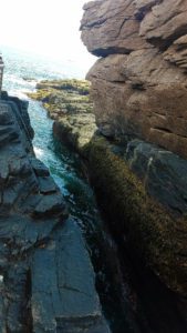 Read more about the article Beginner’s Guide to Thunder Hole in Acadia National Park