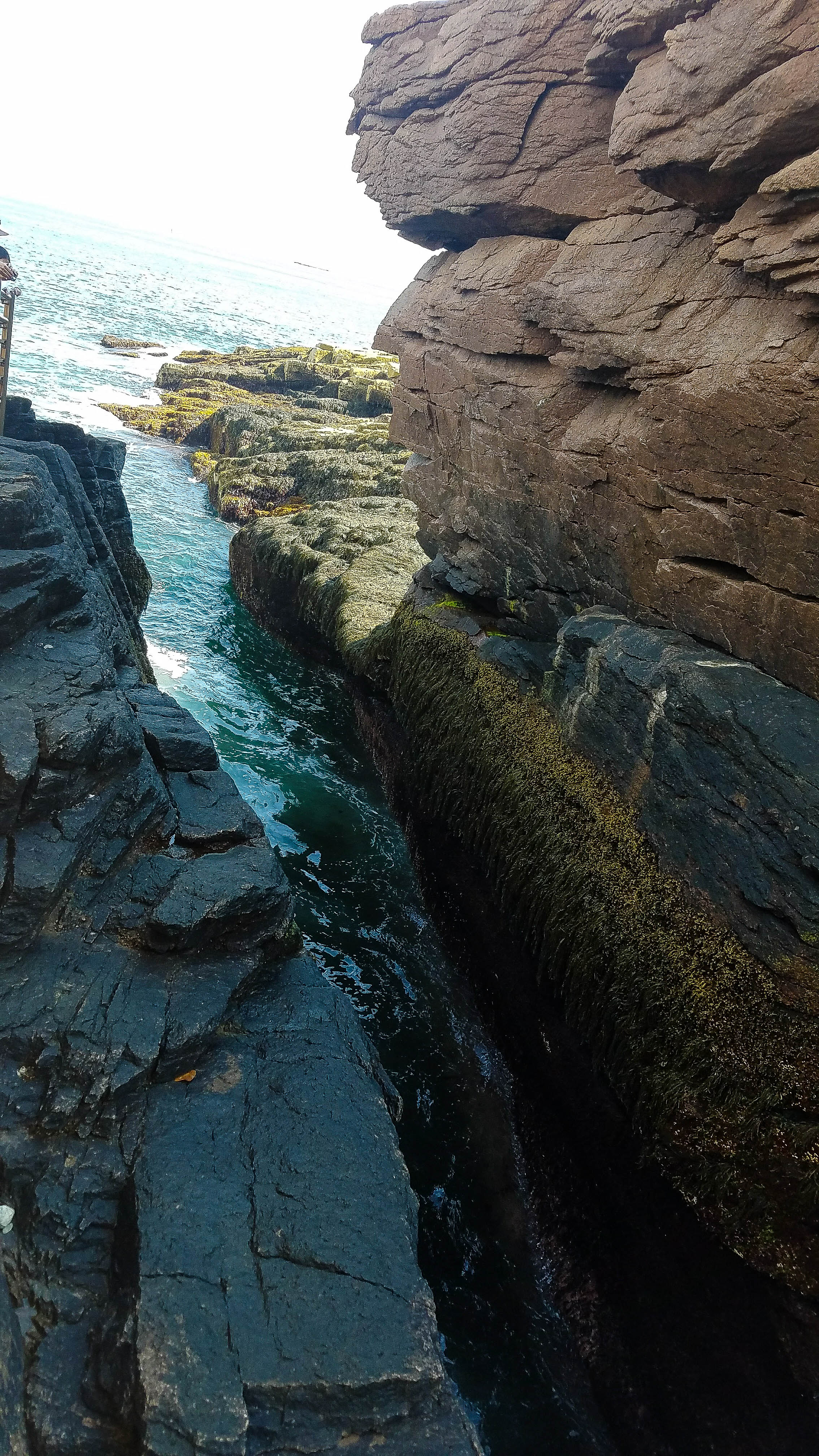 You are currently viewing Beginner’s Guide to Thunder Hole in Acadia National Park