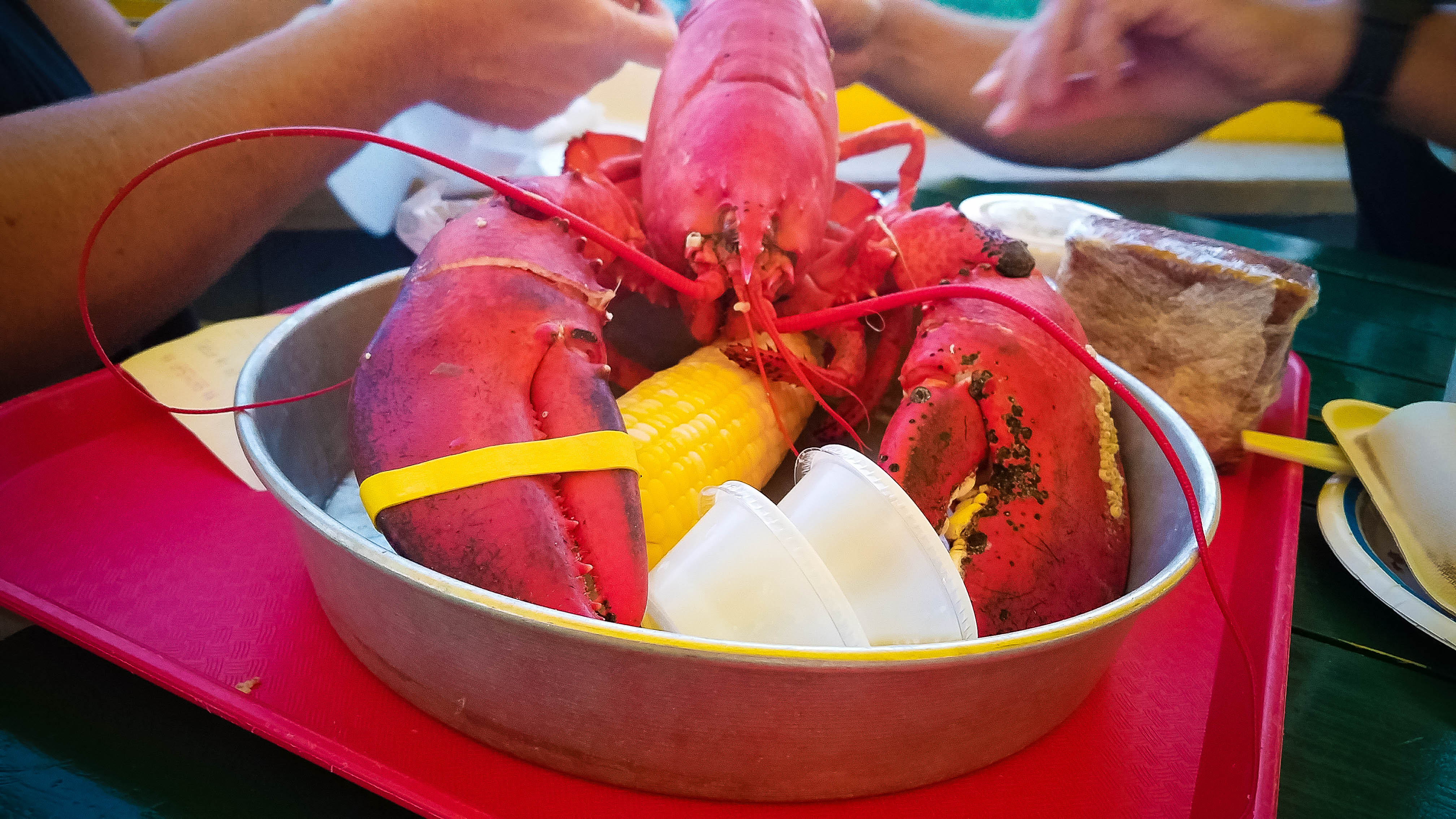 Read more about the article Beginner’s Guide to Dining & Drinking in Bar Harbor