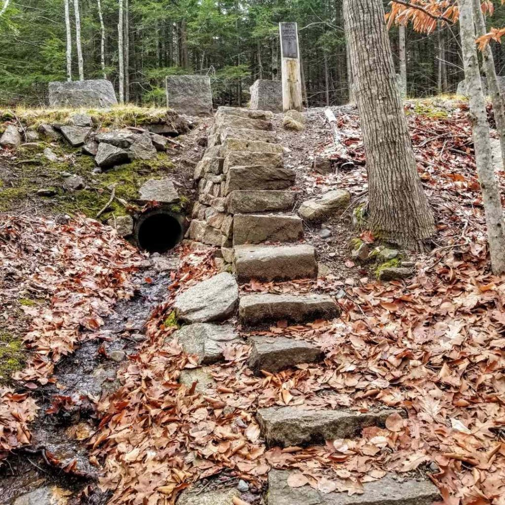 Stairs on Kebo Mountain in Acadia National Park