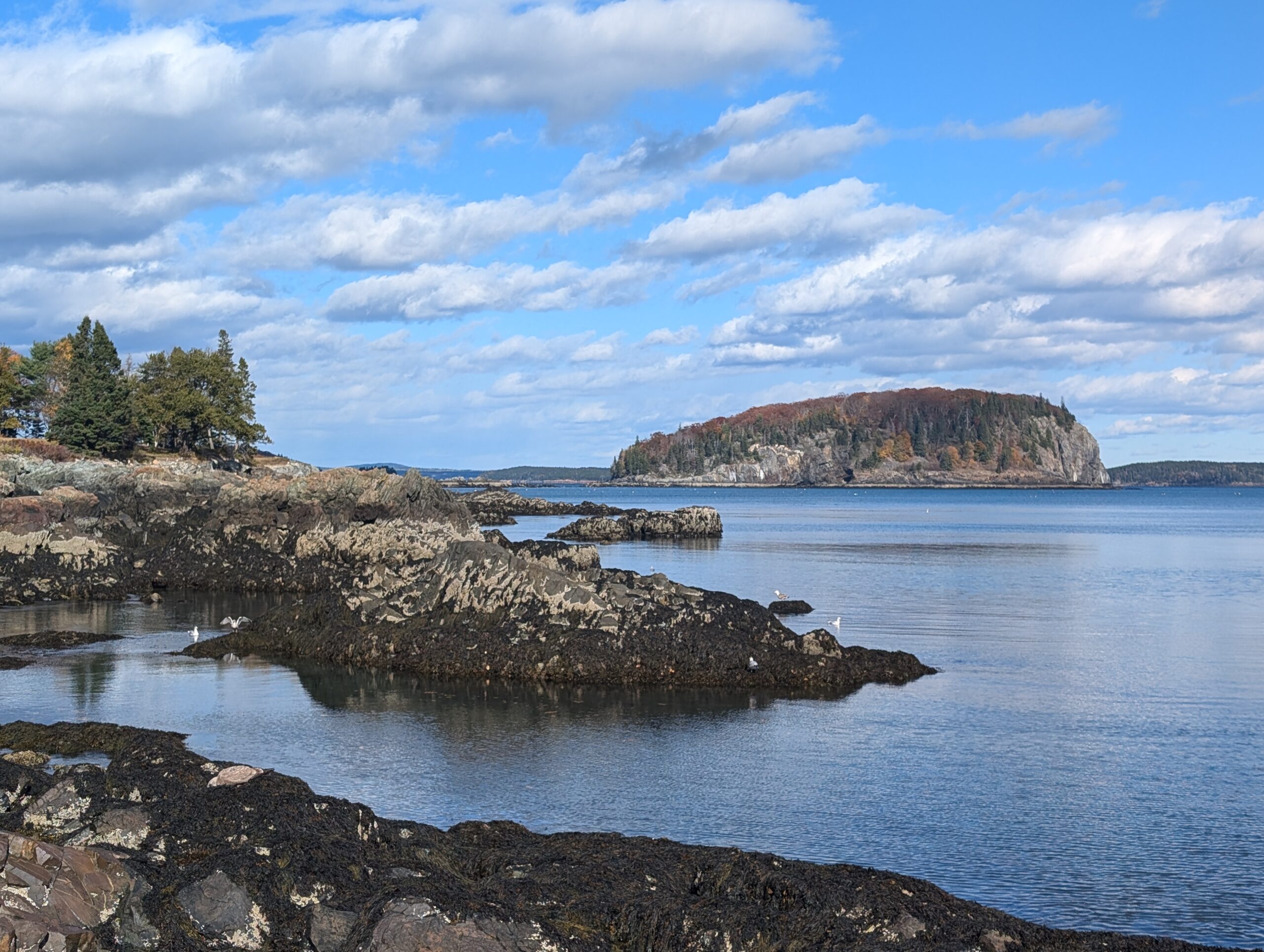 Read more about the article Compass Harbor Trail – Acadia National Park